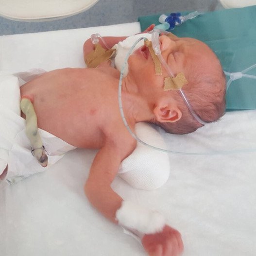 Γέννησε εν πλω -Σε πλοίο που ταξίδευε προς την Κρήτη [εικόνες] | iefimerida.gr 2