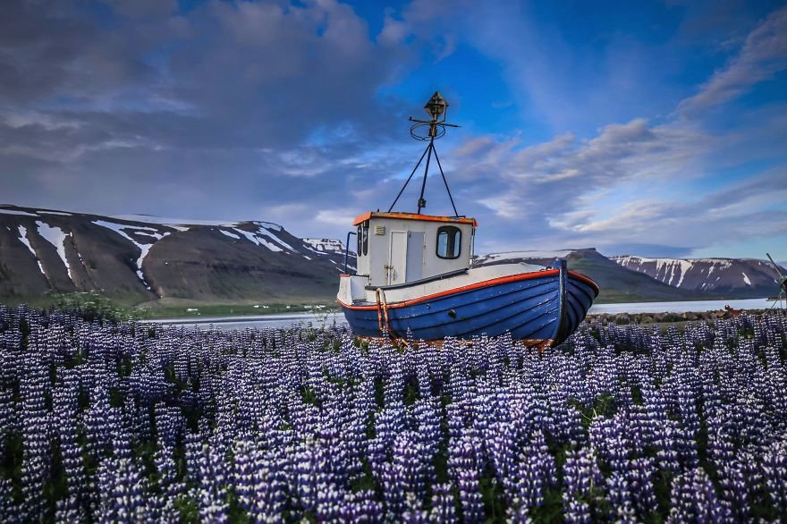 Ενα «τρελό» ζευγάρι: Ταξίδεψαν σε 50 χώρες με 8 δολάρια την ημέρα [εικόνες]  | iefimerida.gr 4