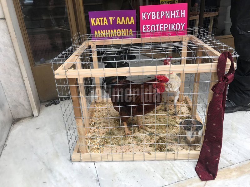 Διαμαρτυρία της ΠΟΕΔΗΝ με... κότες και κοκόρια έξω από το υπ. Υγείας [εικόνες & βίντεο] | iefimerida.gr 7