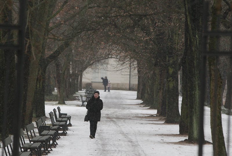 Σε κλοιό ψύχους η Ευρώπη -Πάνω από 20 νεκροί, χάος στις συγκοινωνίες | iefimerida.gr 1