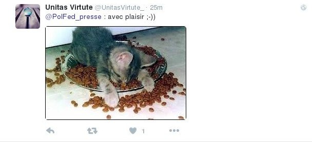 Η βελγική αστυνομία ευχαρίστησε με ένα μπολ κροκέτες τις γάτες του #BrusselsLockdown [εικόνες] | iefimerida.gr 3