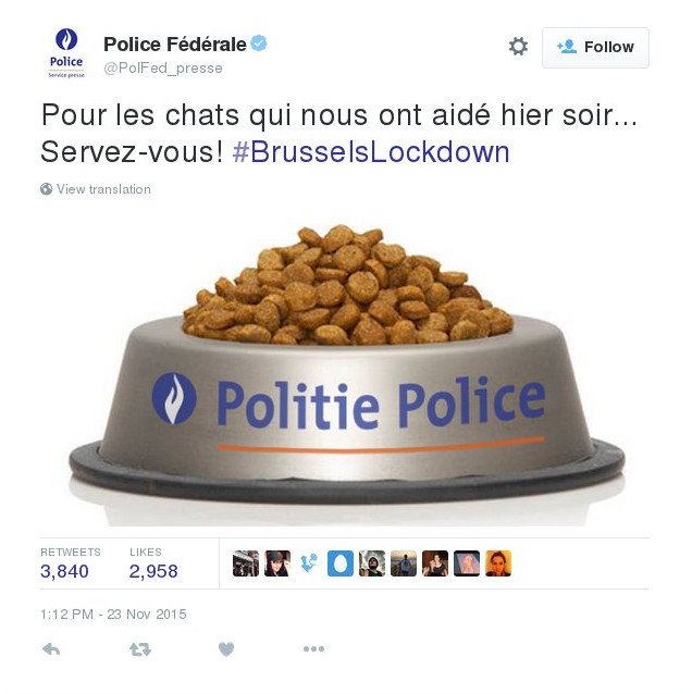 Η βελγική αστυνομία ευχαρίστησε με ένα μπολ κροκέτες τις γάτες του #BrusselsLockdown [εικόνες] | iefimerida.gr 0