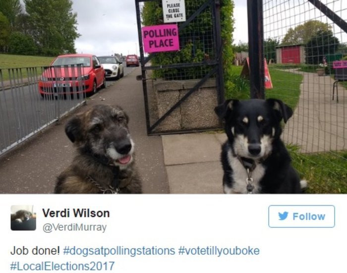 Γιατί οι Βρετανοί βγάζουν μανιωδώς φωτογραφίες με τους σκύλους τους έξω από εκλογικά κέντρα [εικόνες] | iefimerida.gr 13