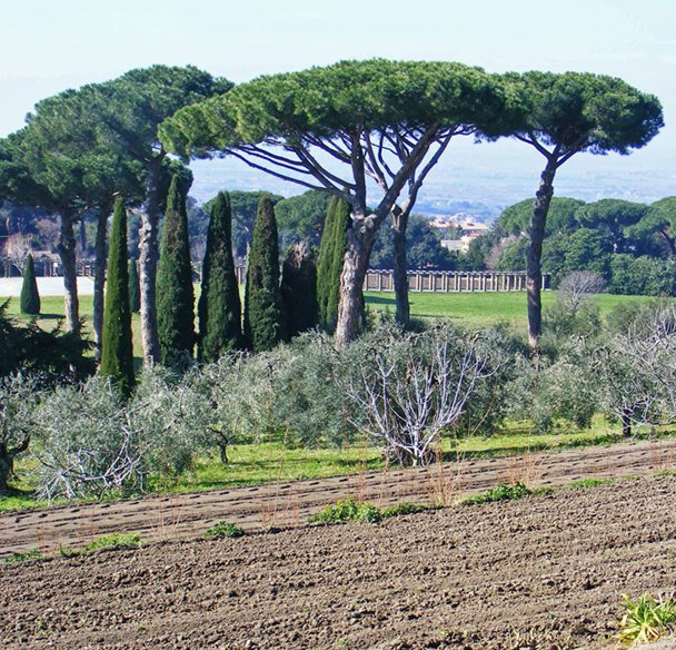 Ο Πάπας πάχυνε -Πού είναι τα ειδυλλιακά αγροκτήματα που τον τρέφουν [εικόνες] | iefimerida.gr 2