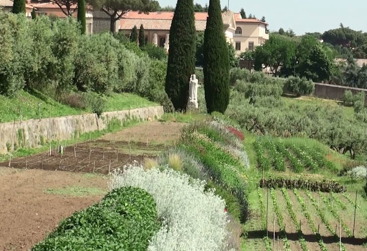 Ο Πάπας πάχυνε -Πού είναι τα ειδυλλιακά αγροκτήματα που τον τρέφουν [εικόνες] | iefimerida.gr 4
