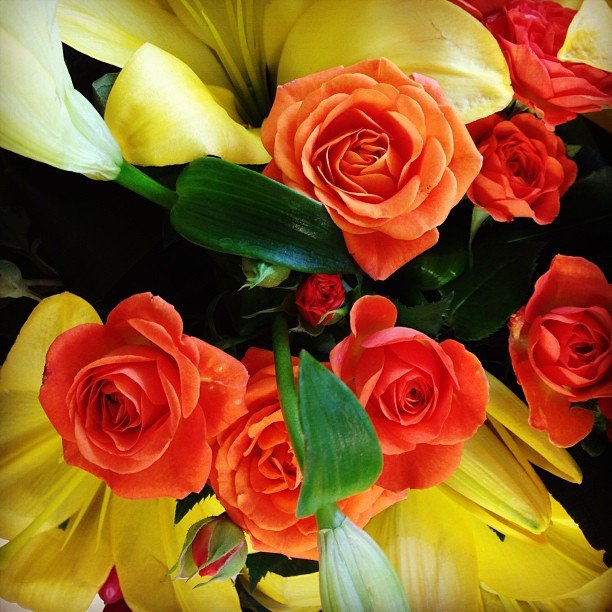 Πώς βλέπει η Πόπη Τσαπανίδου το μήνα Απρίλιο [εικόνα] | iefimerida.gr 0