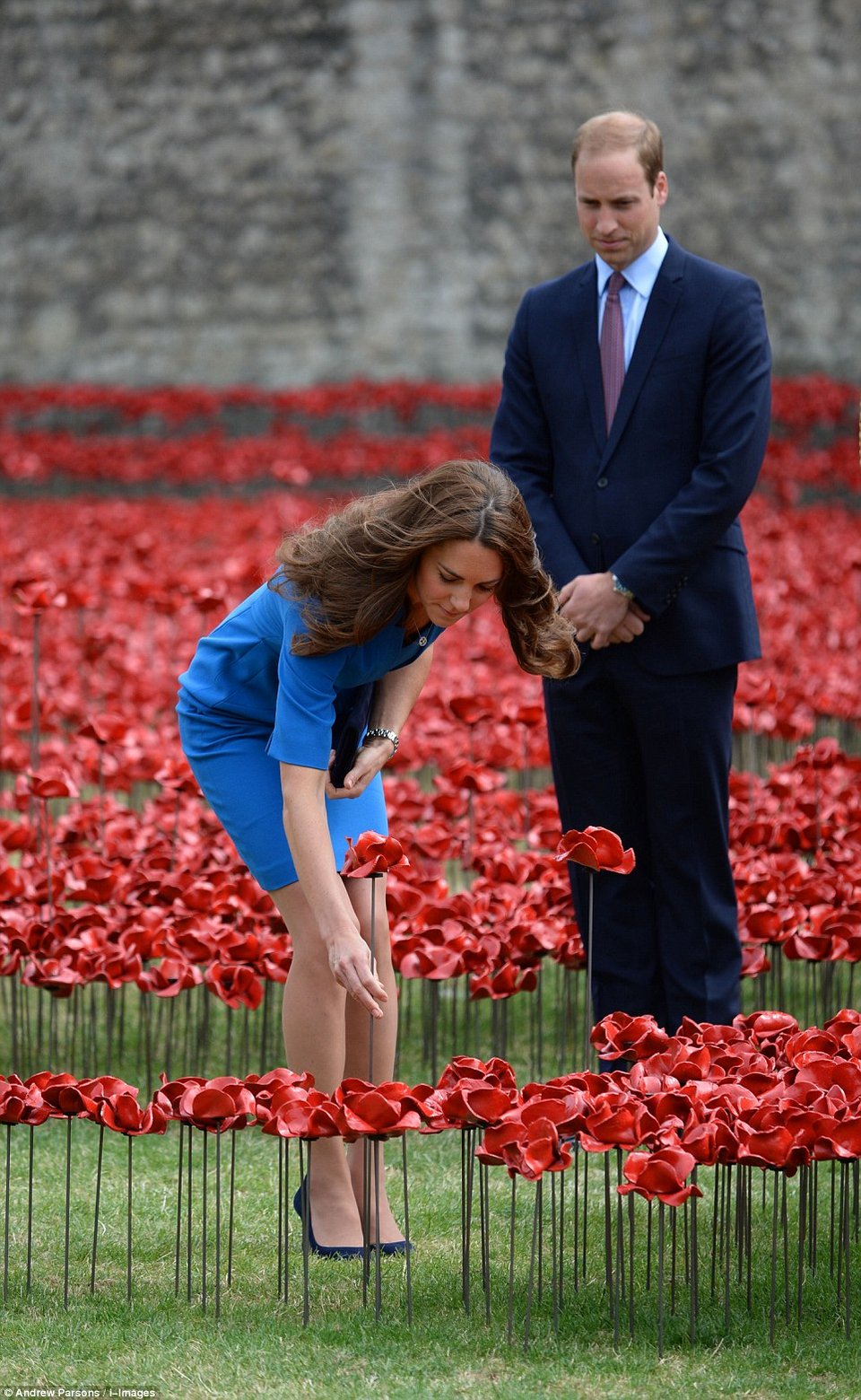 Ο Ουίλιαμ και η Κέιτ φυτεύουν παπαρούνες προς τιμή των νεκρών του Α' Παγκοσμίου πολέμου [εικόνες&βίντεο] | iefimerida.gr 1