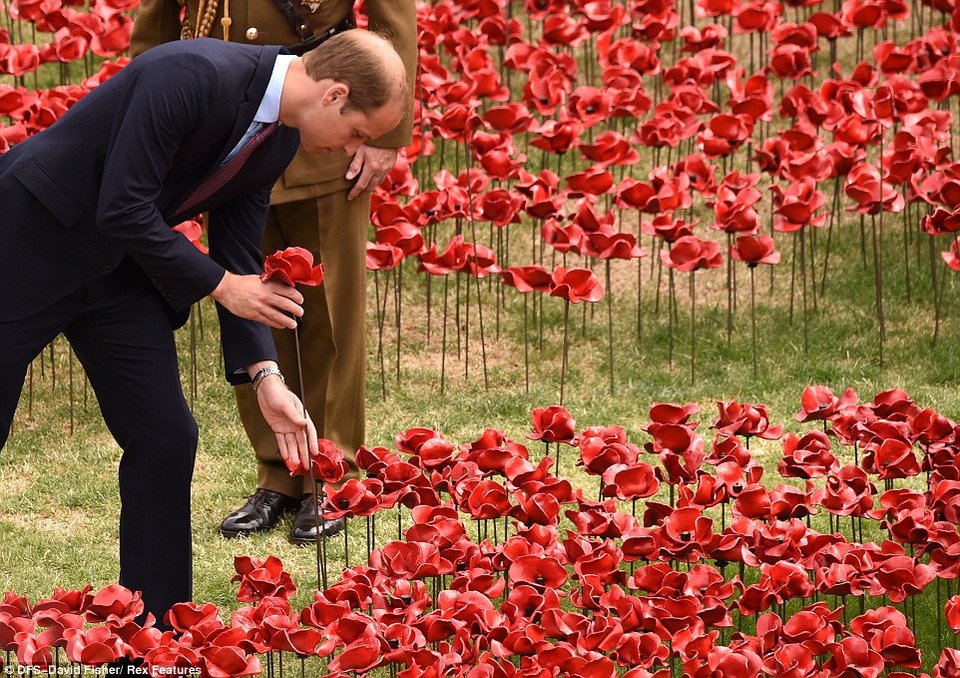 Ο Ουίλιαμ και η Κέιτ φυτεύουν παπαρούνες προς τιμή των νεκρών του Α' Παγκοσμίου πολέμου [εικόνες&βίντεο] | iefimerida.gr 4