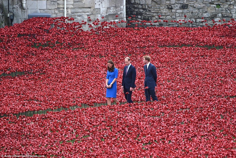 Ο Ουίλιαμ και η Κέιτ φυτεύουν παπαρούνες προς τιμή των νεκρών του Α' Παγκοσμίου πολέμου [εικόνες&βίντεο] | iefimerida.gr 6