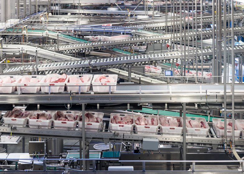 Πώς γίνονται τα γουρουνάκια λουκάνικο -Βρετανός φωτογράφος βρίσκει τον τρόπο να το κάνει τέχνη [εικόνες] | iefimerida.gr 5