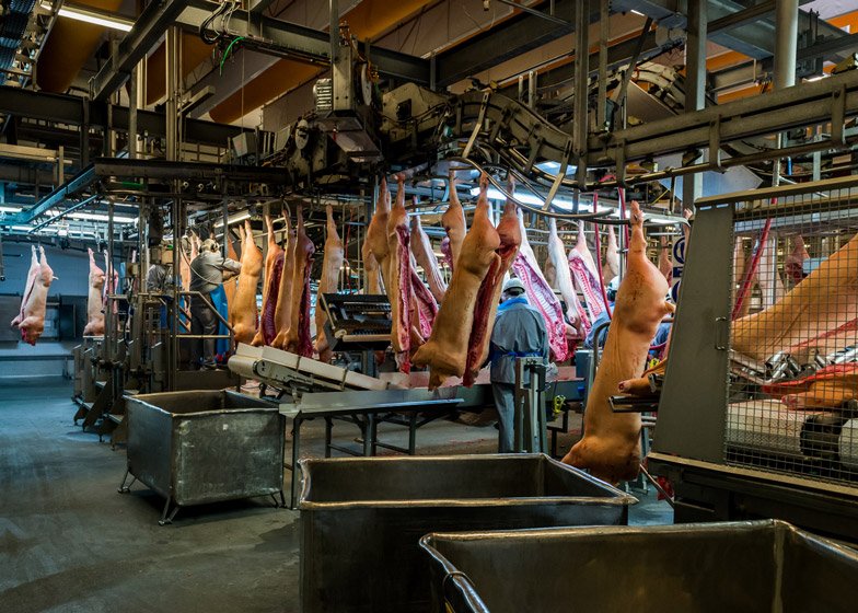 Πώς γίνονται τα γουρουνάκια λουκάνικο -Βρετανός φωτογράφος βρίσκει τον τρόπο να το κάνει τέχνη [εικόνες] | iefimerida.gr 1