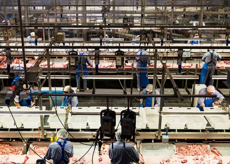 Πώς γίνονται τα γουρουνάκια λουκάνικο -Βρετανός φωτογράφος βρίσκει τον τρόπο να το κάνει τέχνη [εικόνες] | iefimerida.gr 2