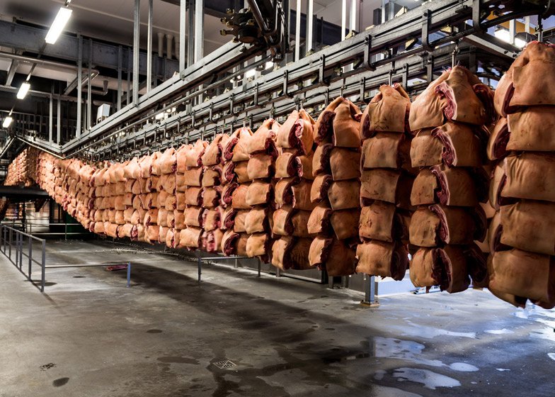 Πώς γίνονται τα γουρουνάκια λουκάνικο -Βρετανός φωτογράφος βρίσκει τον τρόπο να το κάνει τέχνη [εικόνες] | iefimerida.gr 3