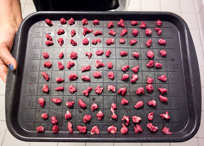 Πώς γίνονται τα γουρουνάκια λουκάνικο -Βρετανός φωτογράφος βρίσκει τον τρόπο να το κάνει τέχνη [εικόνες] | iefimerida.gr 4