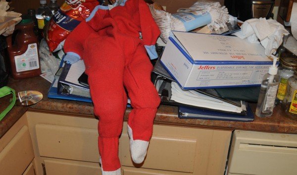 40χρονος σχεδίαζε να απαγάγει και να φάει ένα παιδί -Οργανα βασανιστηρίων βρέθηκαν στο σπίτι του [εικόνες] | iefimerida.gr 3