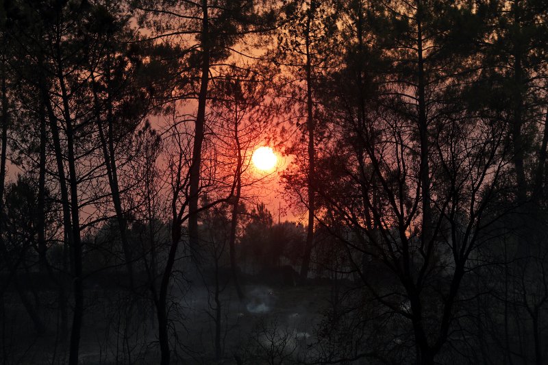 Τουρίστες φεύγουν όπως όπως από τις παραλίες, φλόγες ξεπηδούν από παντού -Tεράστια φωτιά στη Γαλλική Ριβιέρα [εικόνες] | iefimerida.gr 14