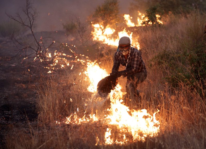 Τουρίστες φεύγουν όπως όπως από τις παραλίες, φλόγες ξεπηδούν από παντού -Tεράστια φωτιά στη Γαλλική Ριβιέρα [εικόνες] | iefimerida.gr 15