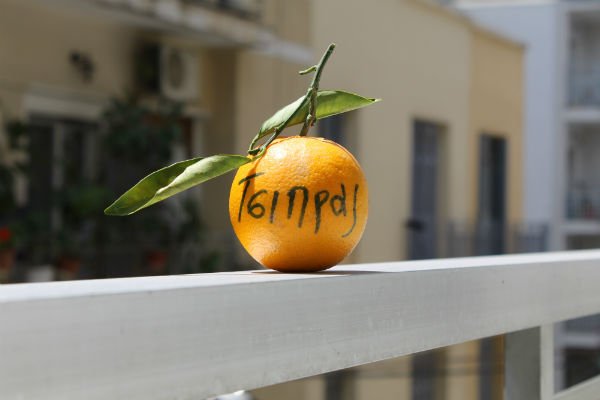 Μετά τα μπικίνι ήρθε και το «Πορτοκάλι Τσίπρας» -Καμπάνια υποστήριξης από τη Σικελία, για τον αρχηγό του ΣΥΡΙΖΑ | iefimerida.gr 1