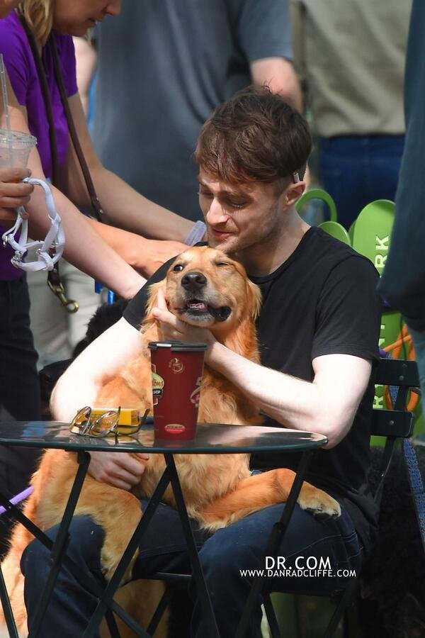 Ο Χάρι Πότερ βγάζει βόλτα 12 σκυλιά με το τσιγάρο στο στόμα -Το άλλο πρόσωπο του ηθοποιού [εικονες] | iefimerida.gr 2