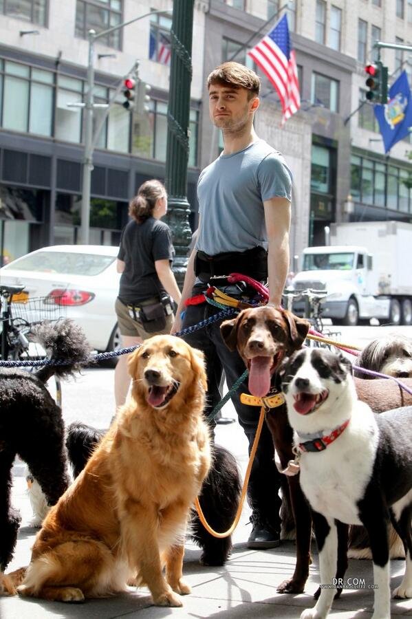 Ο Χάρι Πότερ βγάζει βόλτα 12 σκυλιά με το τσιγάρο στο στόμα -Το άλλο πρόσωπο του ηθοποιού [εικονες] | iefimerida.gr 3