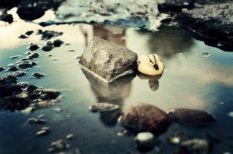 Μια ξεκαρδιστική διαμαρτυρία: 14 τρόποι να διασκεδάσετε με μια λακκούβα στη μέση του δρόμου [εικόνες] | iefimerida.gr 13