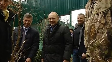 Ο Πούτιν προσπαθεί να εξημερώσει τα... άγρια -Μπήκε σε κλουβί με λεοπαρδάλεις για να εντυπωσιάσει [εικόνες&βίντεο] | iefimerida.gr 2