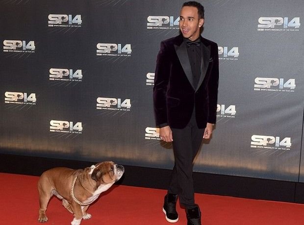 Το μπουλντόγκ του Χάμιλτον έκλεψε την παράσταση στα βραβεία [εικόνες & βίντεο] | iefimerida.gr 1