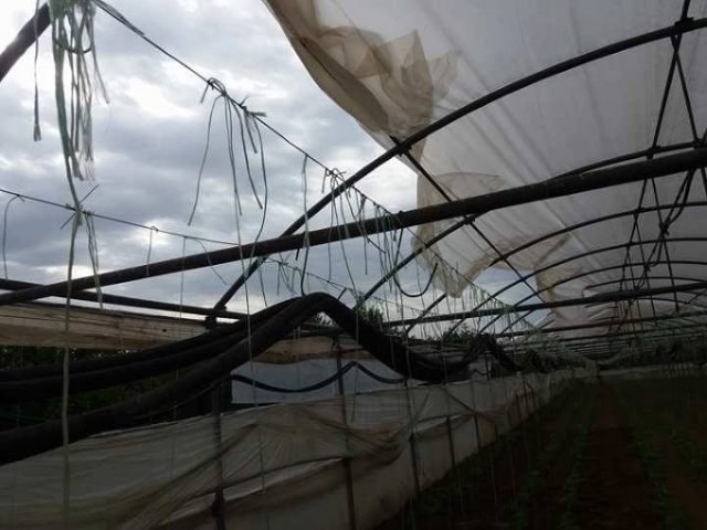 Πρέβεζα: Στο έλεος της κακοκαιρίας το κέντρο της πόλης -Πτώσεις δέντρων και βραχυκύκλωμα [εικόνες] | iefimerida.gr 2