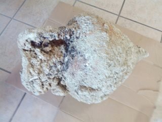 Aδέλφια στην Πάργα είχαν στην κατοχή τους τεράστιες ποσότητες αρχαίων [εικόνες] | iefimerida.gr 3