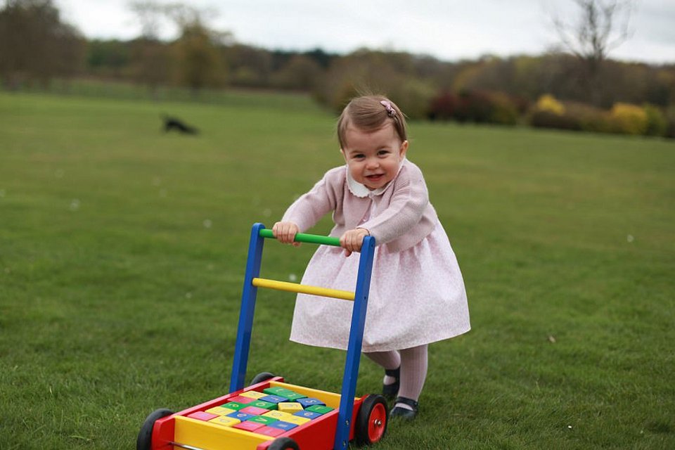 Τα έργα της καλλιτέχνιδος Κέιτ Μίντλετον -Οι φωτογραφίες της που... πήραν βραβείο [εικόνες] | iefimerida.gr 4