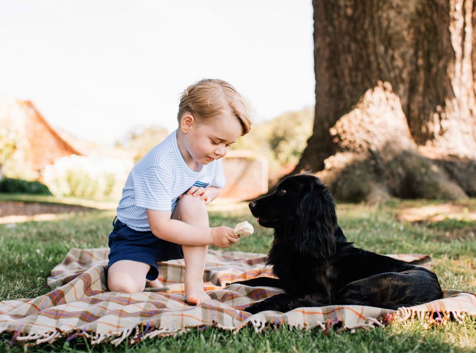 Ο πρίγκιπας Τζορτζ έγινε 4 ετών και ποζάρει μόνος του στον φακό -Πιο χαριτωμένος από ποτέ [εικόνες] | iefimerida.gr 2