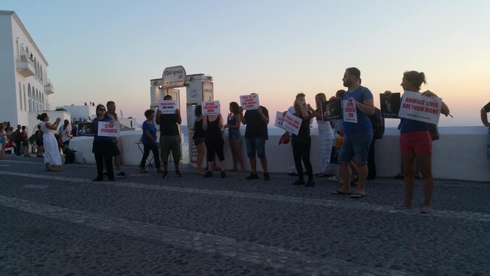 Γίναμε είδηση: Ιδιοκτήτες γαϊδουριών δέρνουν ακτιβιστές στη Σαντορίνη [βίντεο]  | iefimerida.gr 0