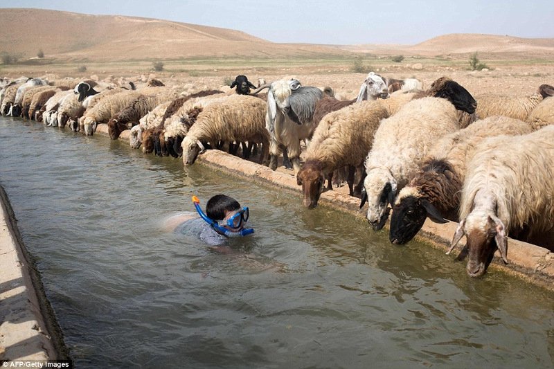 Ο πνιγμός του μικρού Αϊλάν και το φουστάνι της Ριάνα -Οι δυο όψεις του κόσμου το 2015 [εικόνες] | iefimerida.gr 20