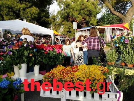 Οι Πατρινοί γιόρτασαν χτες την Πρωτομαγιά- Γέμισε η πόλη με λουλούδια και 700 χορευτές [εικόνες] | iefimerida.gr 3