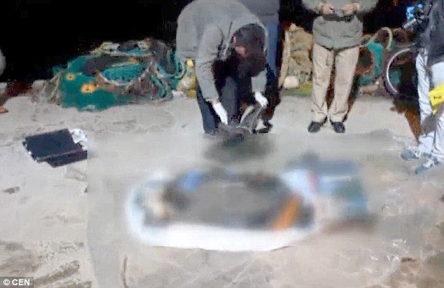 Σοκ: Ψαράς βρήκε στα δίχτυα του άψυχο 3χρονο κοριτσάκι [εικόνες] | iefimerida.gr 1