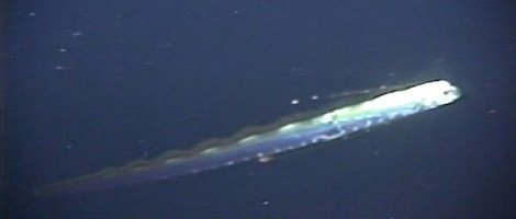 Πώς κινείται στο βυθό το γιγάντιο ψάρι-κουπί [εικόνες&βίντεο] | iefimerida.gr 1