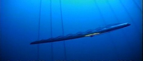 Πώς κινείται στο βυθό το γιγάντιο ψάρι-κουπί [εικόνες&βίντεο] | iefimerida.gr 2