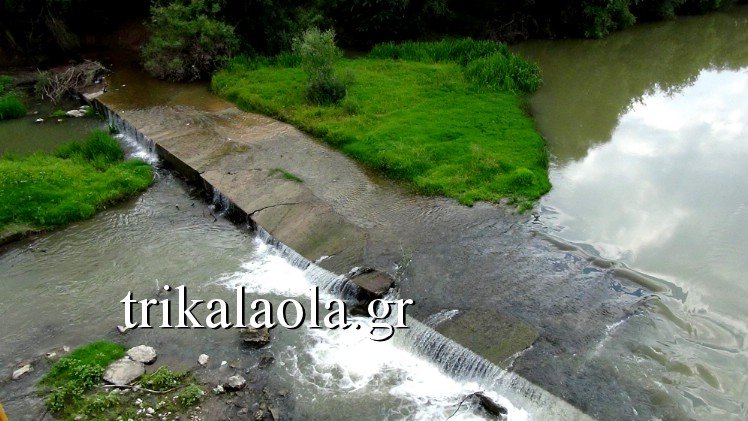 Νεκρά ψάρια ξεβράζει ο Πηνειός στα Τρίκαλα -Προβληματισμένοι οι κάτοικοι [εικόνες & βίντεο] | iefimerida.gr 3