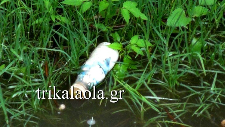 Νεκρά ψάρια ξεβράζει ο Πηνειός στα Τρίκαλα -Προβληματισμένοι οι κάτοικοι [εικόνες & βίντεο] | iefimerida.gr 1