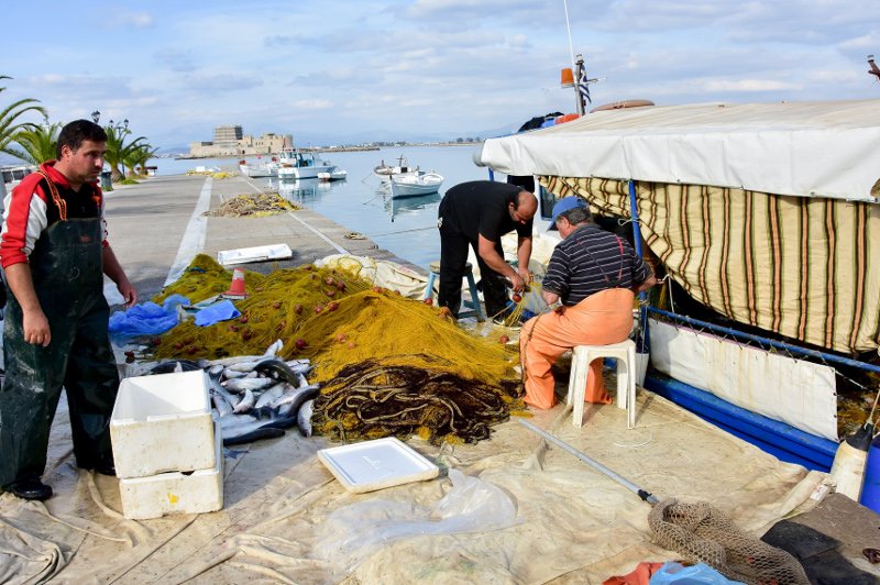 Απίστευτη ψαριά στο Ναύπλιο: Επιασε 2 τόνους κέφαλους! [εικόνες] | iefimerida.gr 2