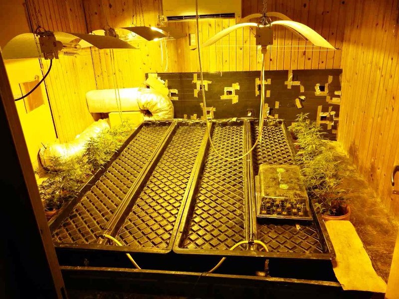 Εγκληματική οργάνωση καλλιεργούσε και διακινούσε μεγάλες ποσότητες κάνναβης [εικόνες] | iefimerida.gr 6