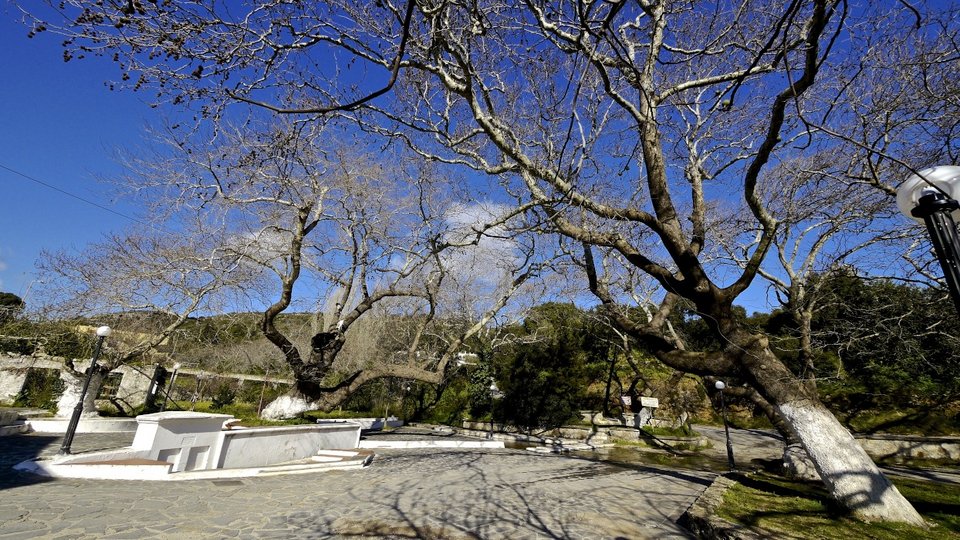 Greenpeace: Πώς η ηλιακή ενέργεια μπορεί να βοηθήσει την Ελλάδα να βγει από την κρίση [εικόνες] | iefimerida.gr 2