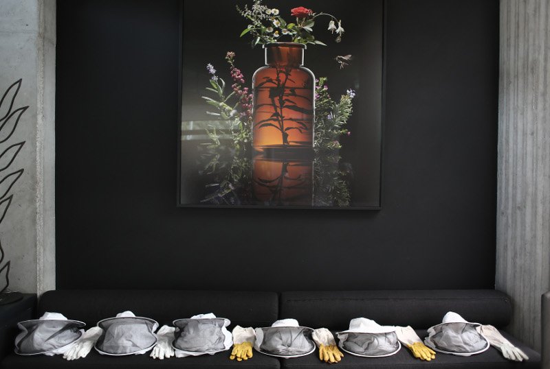 Παυλόπουλος: Να δώσουμε ευκαιρίες στη νέα γενιά -Επίσκεψη στην «APIVITA» [εικόνες] | iefimerida.gr 5