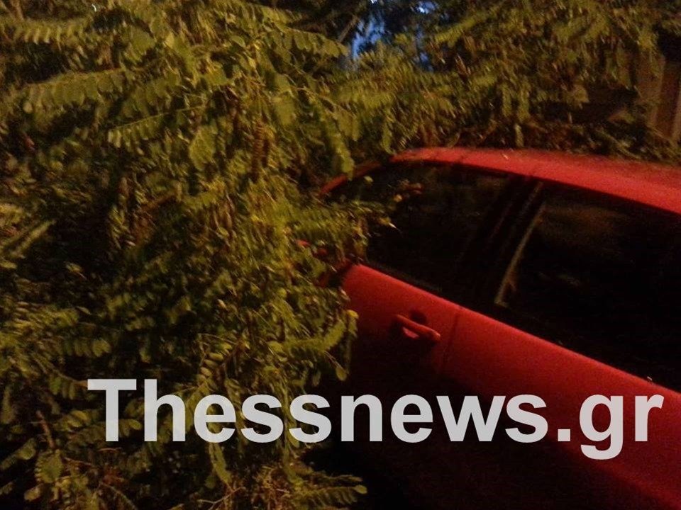 Επεσαν δέντρα στη Θεσσαλονίκη- Χαλαζόπτωση στην Αλεξάνδρεια [εικόνες & βίντεο] | iefimerida.gr 0