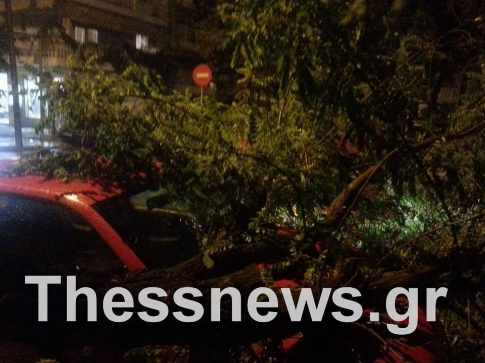 Επεσαν δέντρα στη Θεσσαλονίκη- Χαλαζόπτωση στην Αλεξάνδρεια [εικόνες & βίντεο] | iefimerida.gr 2