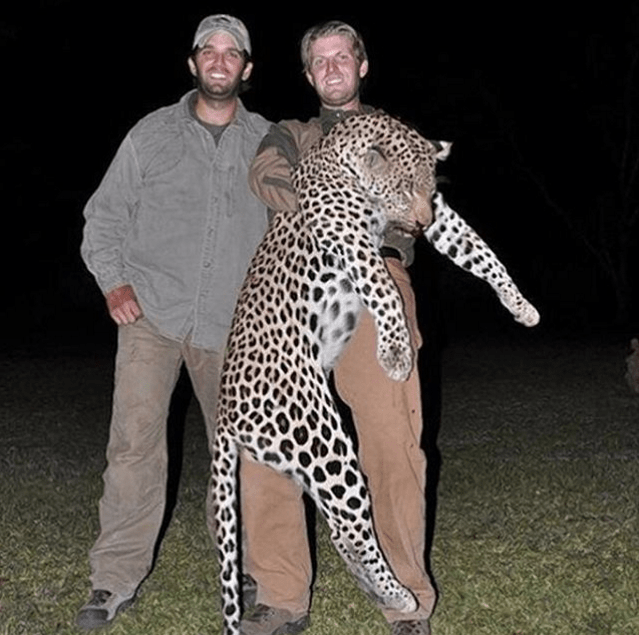 Η Μαντόνα αποκαλεί τους γιους του Τραμπ «αδερφάρες» [εικόνα] | iefimerida.gr 0