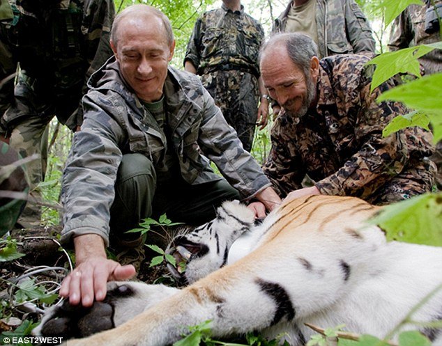 Η τίγρης του Πούτιν το έσκασε από τη Ρωσία -Αυτομόλησε στην Κίνα [εικόνες] | iefimerida.gr 2
