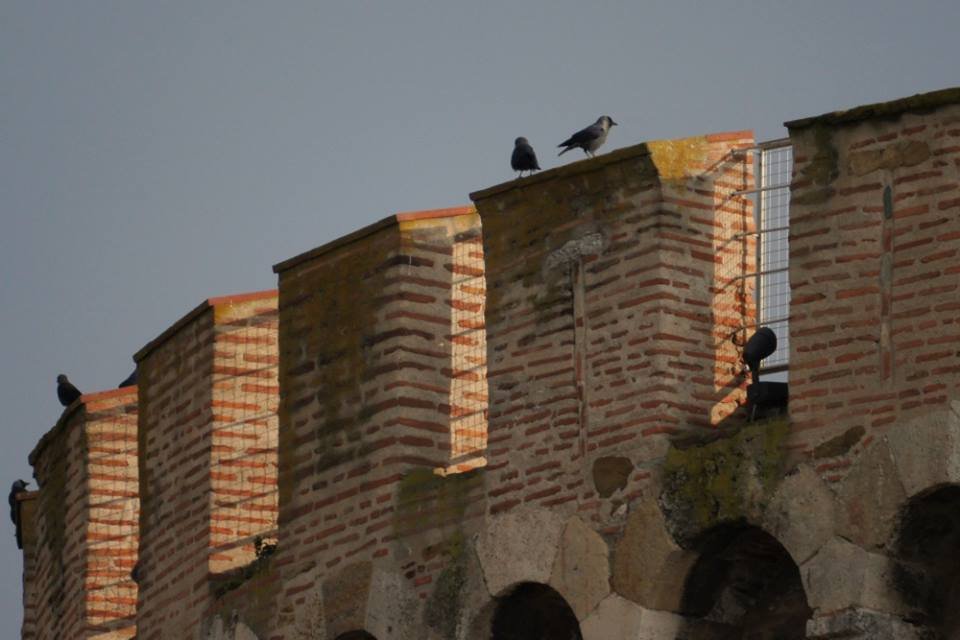 Περιήγηση στους Πύργους της Θεσσαλονίκης: Από τον Λευκό μέχρι το Τοπ Χανέ [εικόνες]  | iefimerida.gr 2