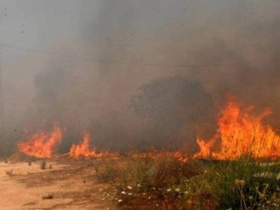 Μεγάλη φωτιά στη Βοιωτία -4 αεροσκάφη στη μάχη της κατάσβεσης [εικόνες & βίντεο] | iefimerida.gr 1