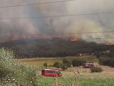 Μεγάλη φωτιά στη Βοιωτία -4 αεροσκάφη στη μάχη της κατάσβεσης [εικόνες & βίντεο] | iefimerida.gr 0